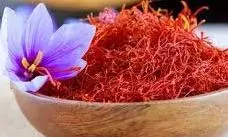 Benefits of saffron water: शरीर के किस अंग के लिए फायदेमंद है केसर का पानी,जानिए सेवन का सही तरीका और इसके फायदे Benefits of saffron water: शरीर के किस अंग के लिए फायदेमंद है केसर का पानी,जानिए सेवन का सही तरीका और इसके फायदे