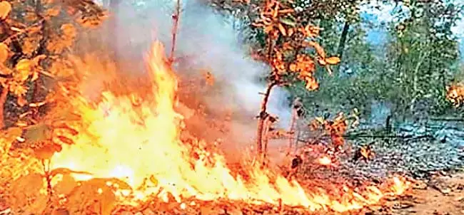 राज्य के लिए NDMA निधि राज्य के लिए NDMA निधि