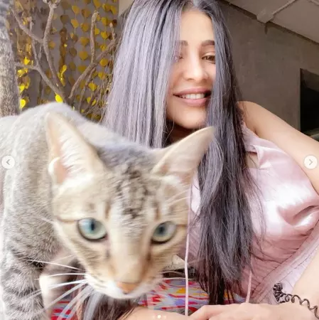 श्रुति हासन को महीनों बाद मिली खोई हुई बिल्ली कोरा, एक्ट्रेस फिर भी हैं उदास श्रुति हासन को महीनों बाद मिली खोई हुई बिल्ली कोरा, एक्ट्रेस फिर भी हैं उदास