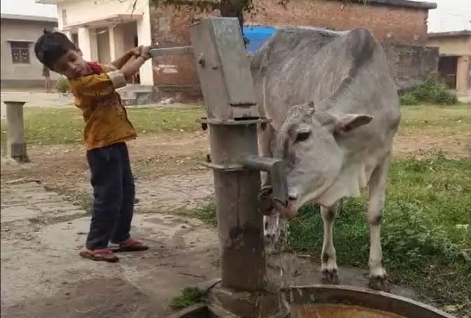 Raebareli: राम विलास यादव बोले, तेज गर्मी में जानवरों के लिए प्यास बुझाना मुश्किल Raebareli: राम विलास यादव बोले, तेज गर्मी में जानवरों के लिए प्यास बुझाना मुश्किल