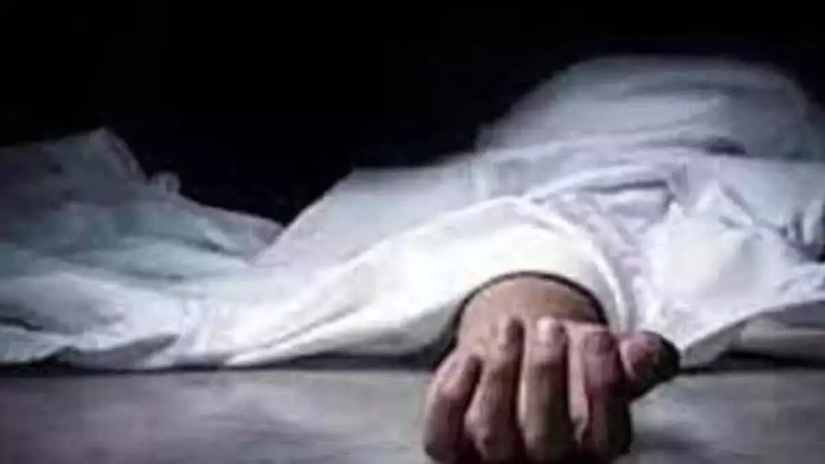 घरेलू हिंसा के कारण महिला ने आत्महत्या कर ली घरेलू हिंसा के कारण महिला ने आत्महत्या कर ली