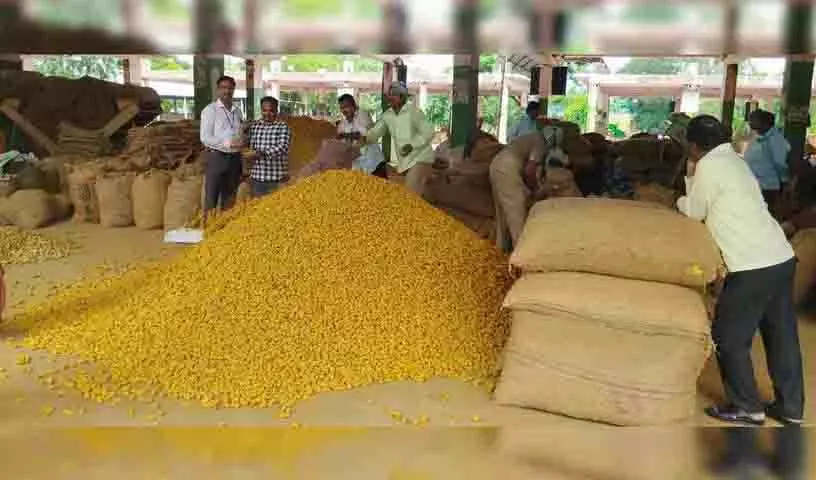तेलंगाना बागवानी विश्वविद्यालय ने अरमूर हल्दी के लिए GI अभियान की अगुवाई की तेलंगाना बागवानी विश्वविद्यालय ने अरमूर हल्दी के लिए GI अभियान की अगुवाई की