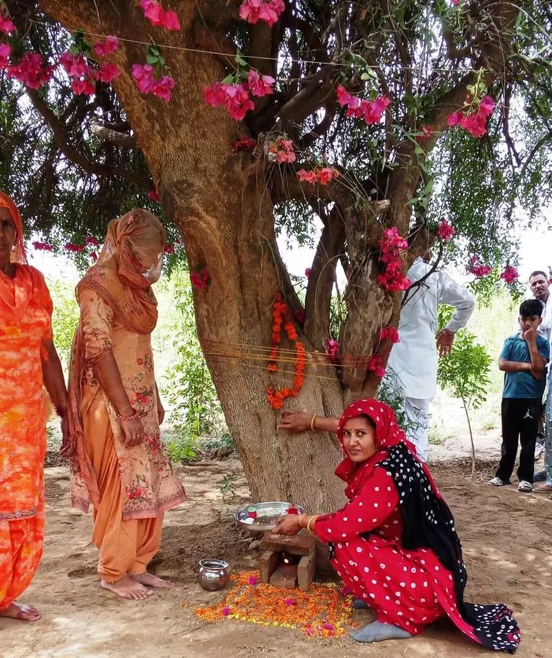 विश्व पर्यावरण दिवस के अवसर पर Sirsa में प्राण वायु देवताओं की पूजा की गई विश्व पर्यावरण दिवस के अवसर पर Sirsa में प्राण वायु देवताओं की पूजा की गई