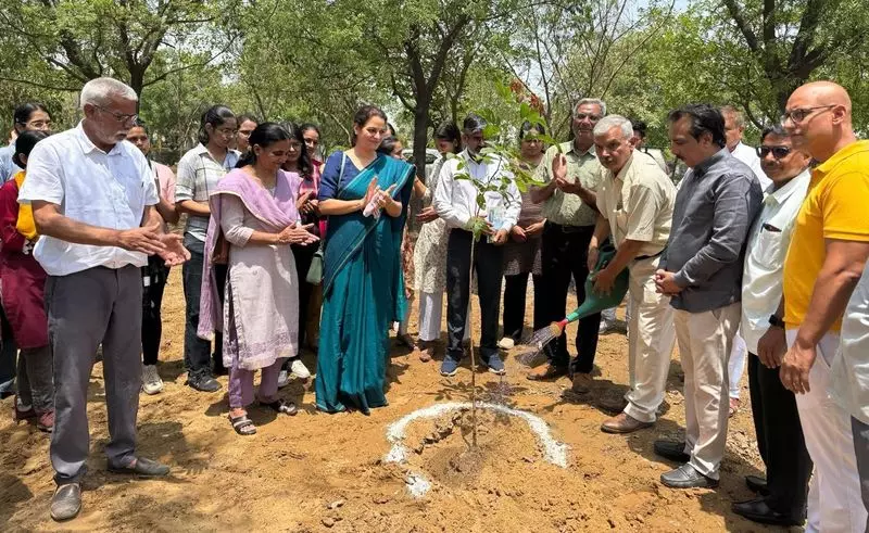 Haryana : महर्षि दयानंद विश्वविद्यालय, रोहतक में वृक्षारोपण अभियान चलाया गया Haryana : महर्षि दयानंद विश्वविद्यालय, रोहतक में वृक्षारोपण अभियान चलाया गया
