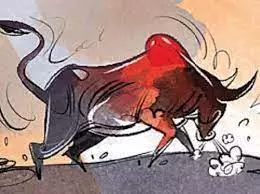 Amroha: आवारा सांड़ का जानलेवा हमला, महिला की मौत Amroha: आवारा सांड़ का जानलेवा हमला, महिला की मौत