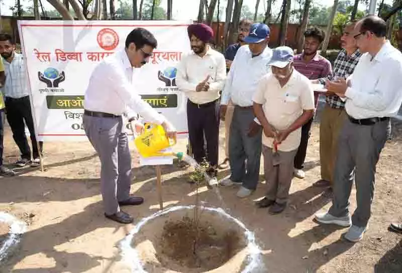 Jalandhar जिले में कुल भूमि का केवल 2% भाग वन क्षेत्र के अंतर्गत Jalandhar जिले में कुल भूमि का केवल 2% भाग वन क्षेत्र के अंतर्गत