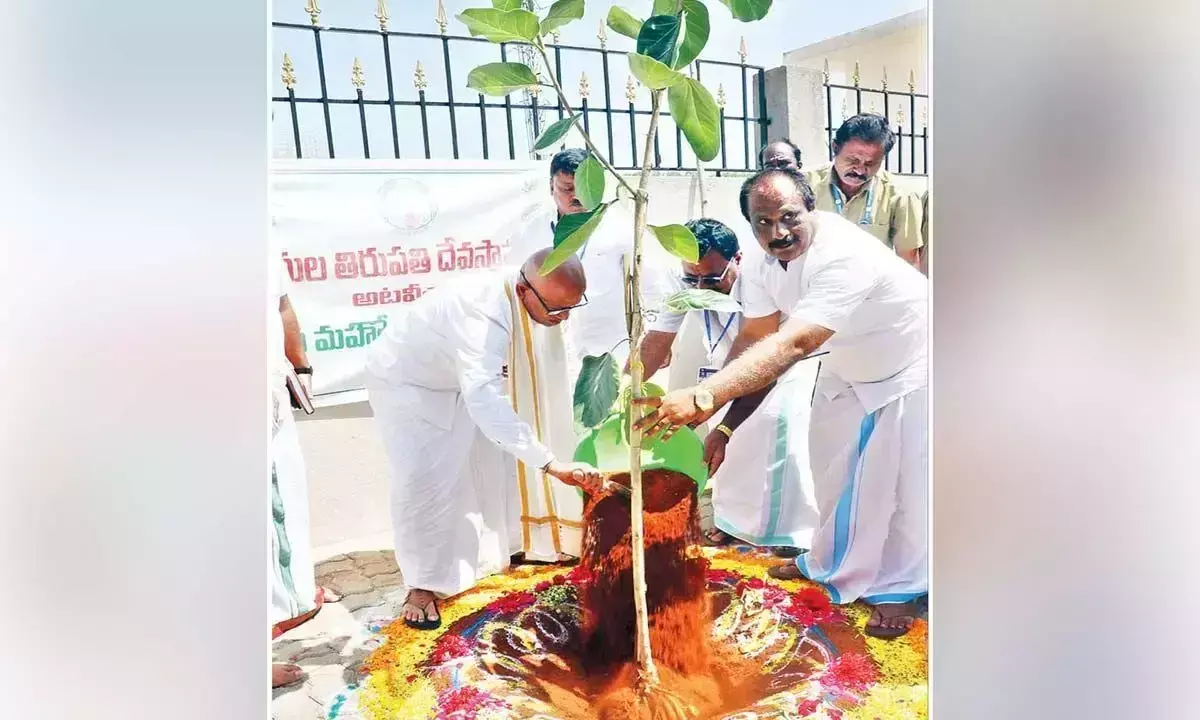 Andhra: तिरुमाला में पौधे रोपे गए Andhra: तिरुमाला में पौधे रोपे गए