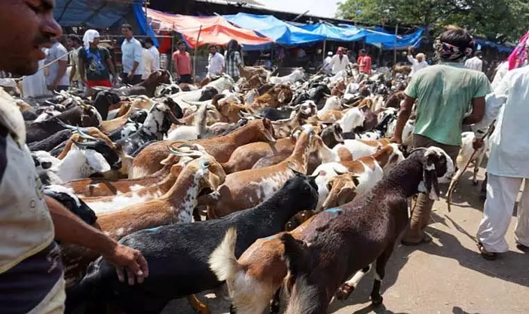 पुणे में यातायात संबंधी अपडेट: सड़कें बंद, मार्ग परिवर्तन, प्रवेश प्रतिबंध पुणे में यातायात संबंधी अपडेट: सड़कें बंद, मार्ग परिवर्तन, प्रवेश प्रतिबंध