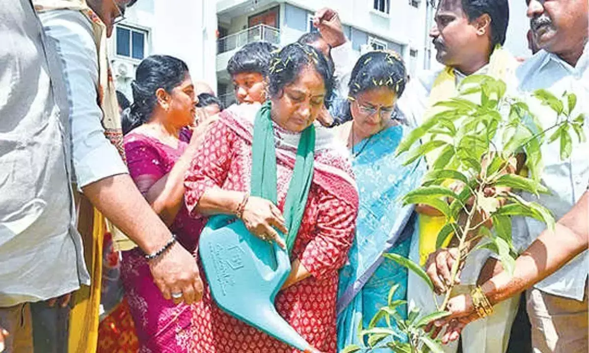 मानव का अस्तित्व पेड़ों पर निर्भर है: मंत्री सविता मानव का अस्तित्व पेड़ों पर निर्भर है: मंत्री सविता