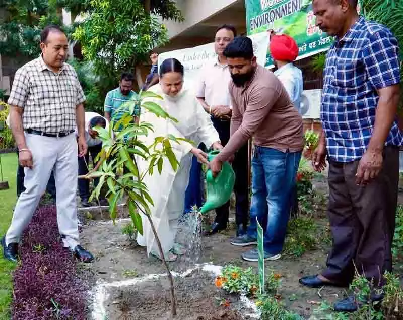 Ludhiana: सत्र न्यायाधीश ने एक महीने में 15 हजार पौधे लगाने के अभियान का नेतृत्व किया Ludhiana: सत्र न्यायाधीश ने एक महीने में 15 हजार पौधे लगाने के अभियान का नेतृत्व किया