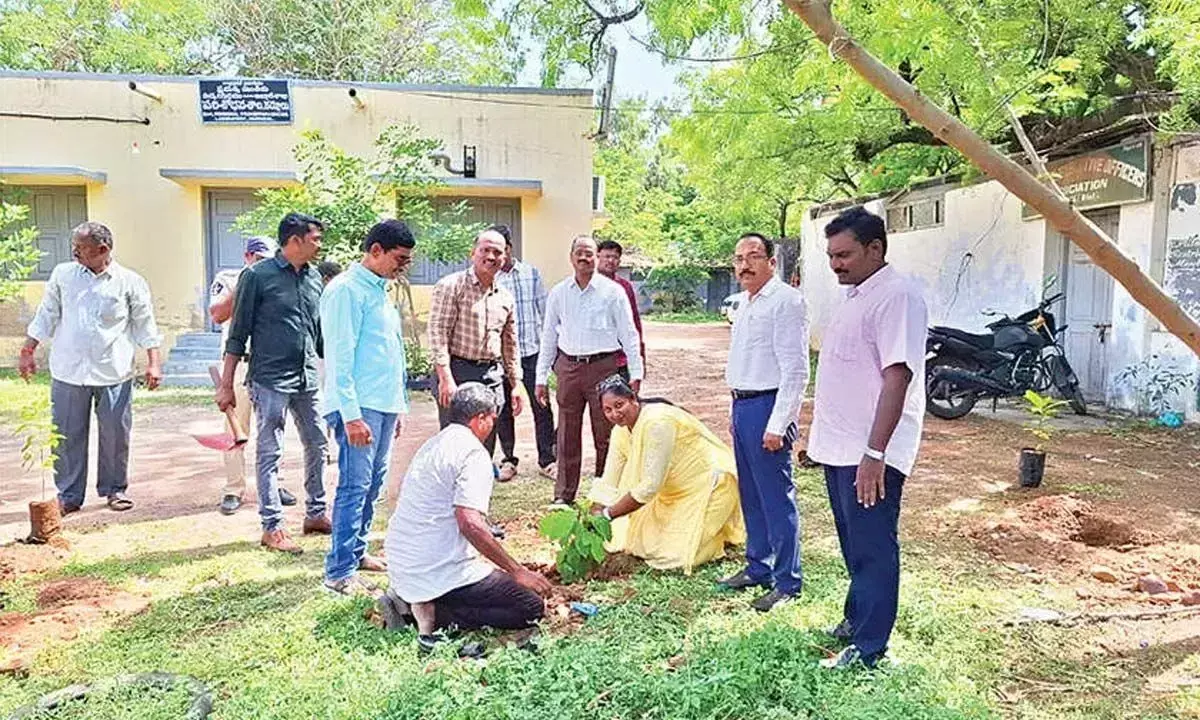 Andhra: विश्व पर्यावरण दिवस पर कुरनूल में पौधारोपण किया गया Andhra: विश्व पर्यावरण दिवस पर कुरनूल में पौधारोपण किया गया