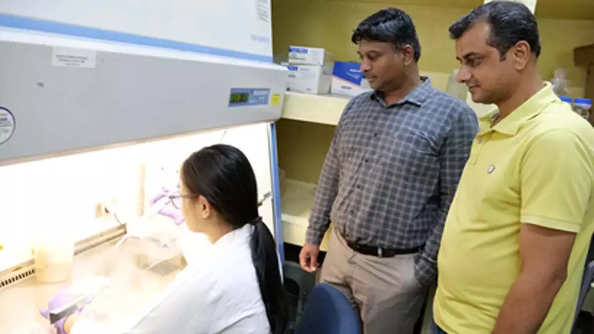 कोविड वायरस का सटीक पता लगाने के लिए IIT गुवाहाटी की क्ले सेडिमेंटेशन तकनीक कोविड वायरस का सटीक पता लगाने के लिए IIT गुवाहाटी की क्ले सेडिमेंटेशन तकनीक