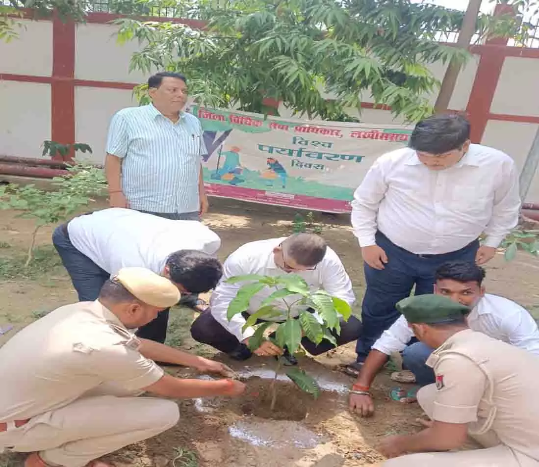 कोर्ट कैंपस में जिला एवं सत्र न्यायाधीश ने की पौधारोपण कोर्ट कैंपस में जिला एवं सत्र न्यायाधीश ने की पौधारोपण