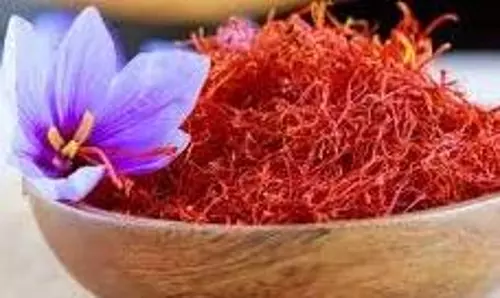 Benefits of saffron water: शरीर के किस अंग के लिए फायदेमंद है केसर का पानी,जानिए सेवन का सही तरीका और इसके फायदे