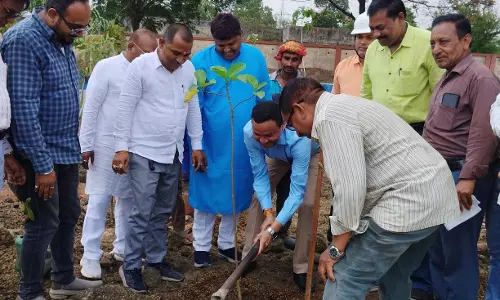 विश्व पर्यावरण दिवस पर बीरगांव में हुआ पौधरोपण विश्व पर्यावरण दिवस पर बीरगांव में हुआ पौधरोपण