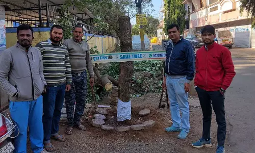MP : पर्यावरण कार्यकर्ताओं ने नीमच में कटे पेड़ को दिया नया जीवन MP : पर्यावरण कार्यकर्ताओं ने नीमच में कटे पेड़ को दिया नया जीवन