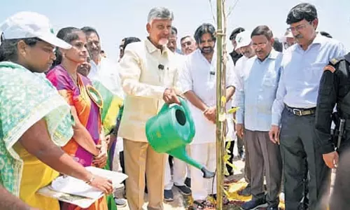 AP: अगले विश्व पर्यावरण दिवस के लिए 5 करोड़ पौधे लगाने का लक्ष्य रखा गया
