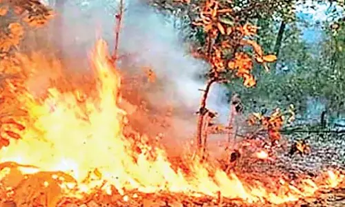 राज्य के लिए NDMA निधि