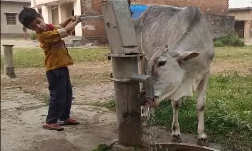 Raebareli: राम विलास यादव बोले, तेज गर्मी में जानवरों के लिए प्यास बुझाना मुश्किल