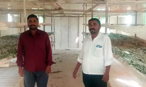Gajendragarh : होसामानी परिवार को रेशम उत्पादन में सफलता मिली