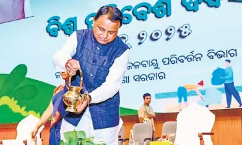 ओडिशा सरकार एक साल में राज्य में 7.5 करोड़ पेड़ लगाएगी: CM Majhi