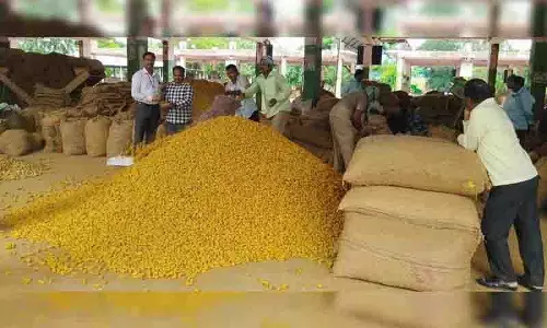 तेलंगाना बागवानी विश्वविद्यालय ने अरमूर हल्दी के लिए GI अभियान की अगुवाई की