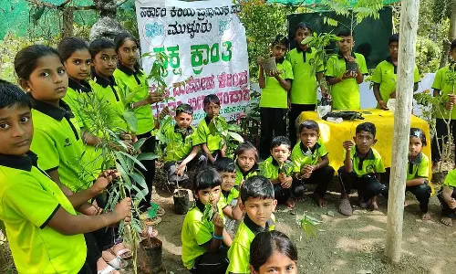 Karnataka : विभिन्न फलों के पेड़ लगाए Karnataka : विभिन्न फलों के पेड़ लगाए