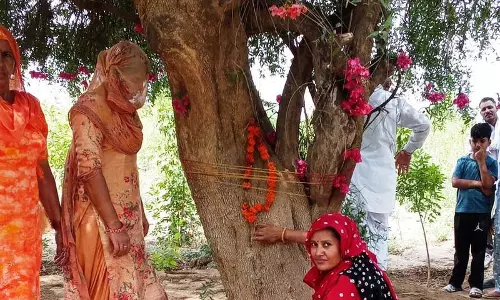 विश्व पर्यावरण दिवस के अवसर पर Sirsa में प्राण वायु देवताओं की पूजा की गई