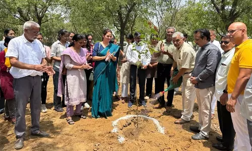 Haryana : महर्षि दयानंद विश्वविद्यालय, रोहतक में वृक्षारोपण अभियान चलाया गया Haryana : महर्षि दयानंद विश्वविद्यालय, रोहतक में वृक्षारोपण अभियान चलाया गया