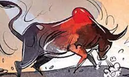 Amroha: आवारा सांड़ का जानलेवा हमला, महिला की मौत Amroha: आवारा सांड़ का जानलेवा हमला, महिला की मौत