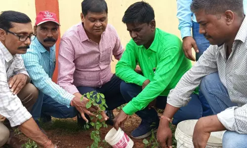 Jamshedpur: बागबेड़ा वॉयरलैस मैदान में पौधारोपण कर लोगों को पर्यावरण के प्रति सजग किया गया Jamshedpur: बागबेड़ा वॉयरलैस मैदान में पौधारोपण कर लोगों को पर्यावरण के प्रति सजग किया गया