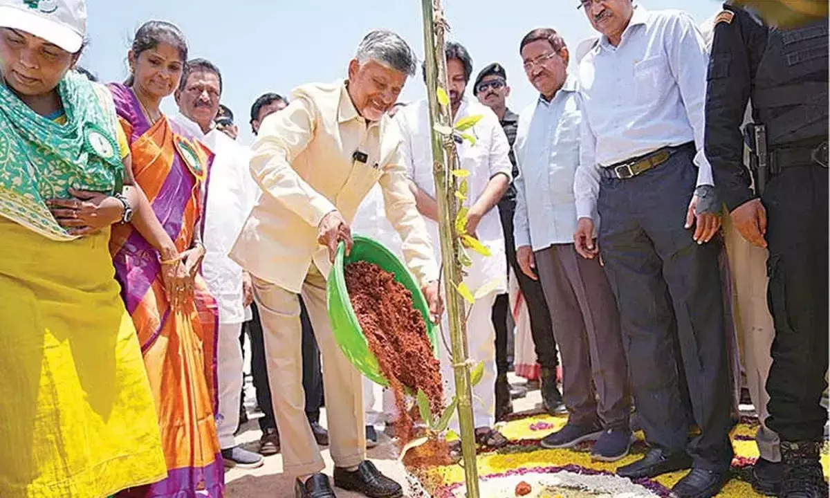 Andhra: मुख्यमंत्री ने 2047 तक 50% हरित आवरण का महत्वाकांक्षी लक्ष्य निर्धारित किया