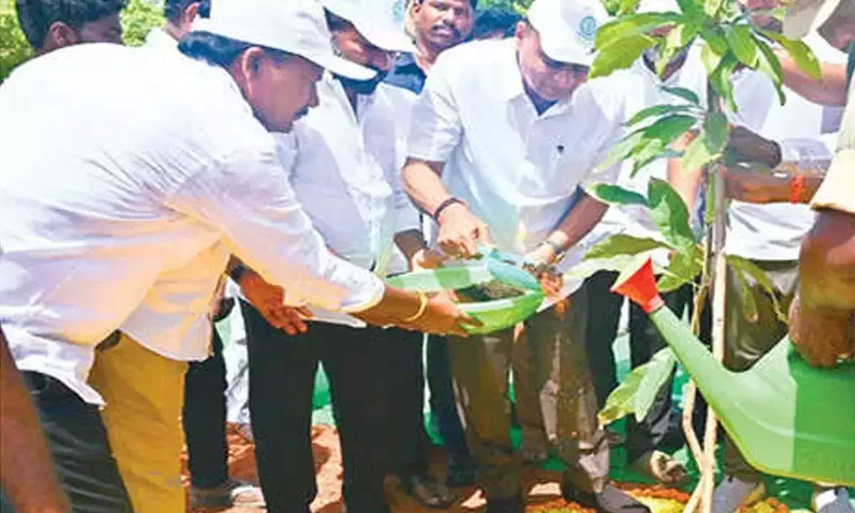 Andhra: लोगों से निःशुल्क पौधे लेने की अपील