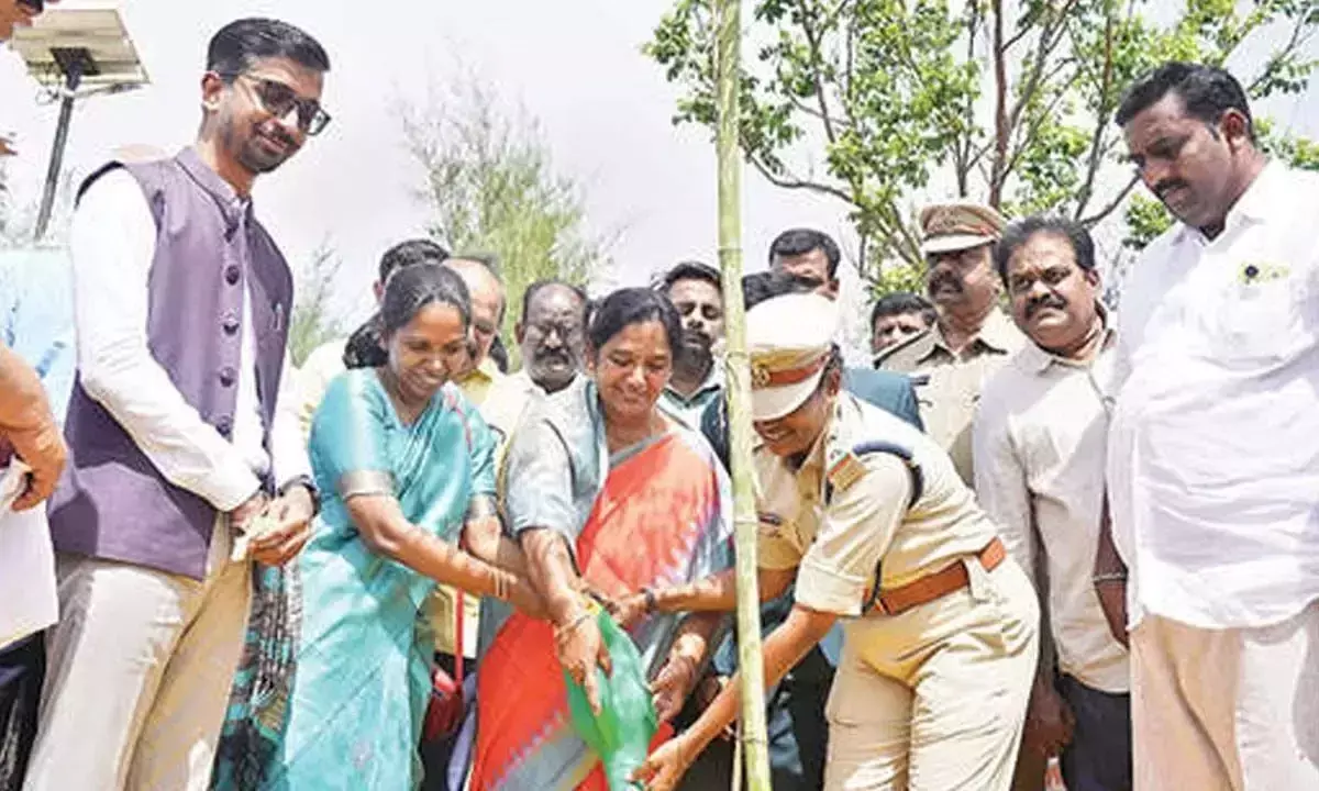 Andhra: विधायक सुनीता ने जनता से पेड़ों को न काटने का आग्रह किया