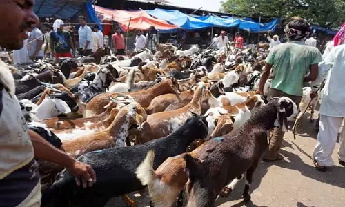 पुणे में यातायात संबंधी अपडेट: सड़कें बंद, मार्ग परिवर्तन, प्रवेश प्रतिबंध