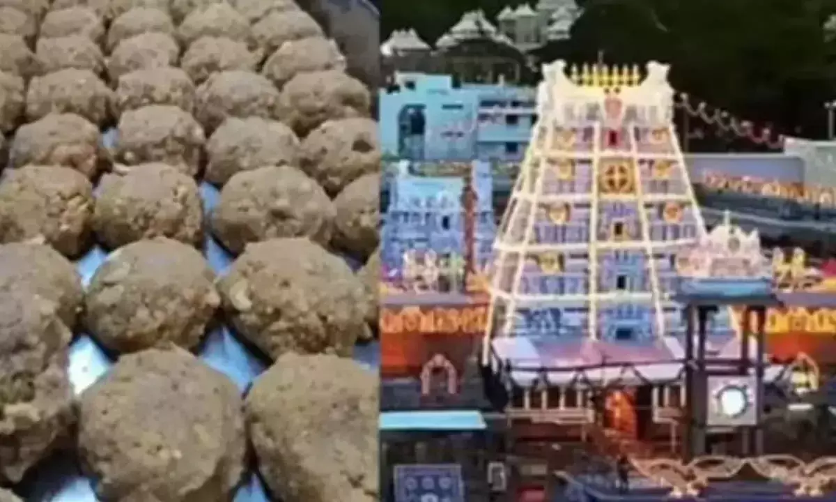 Andhra: टीटीडी घी घोटाले की जांच में पूर्व शीर्ष अधिकारी निशाने पर
