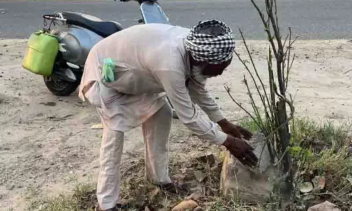 PSPCL यूनियन कार्यकर्ताओं ने छायादार पौधे लगाकर अपने साथी को श्रद्धांजलि दी PSPCL यूनियन कार्यकर्ताओं ने छायादार पौधे लगाकर अपने साथी को श्रद्धांजलि दी