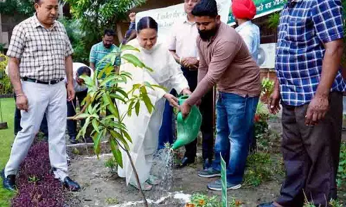 Ludhiana: सत्र न्यायाधीश ने एक महीने में 15 हजार पौधे लगाने के अभियान का नेतृत्व किया Ludhiana: सत्र न्यायाधीश ने एक महीने में 15 हजार पौधे लगाने के अभियान का नेतृत्व किया
