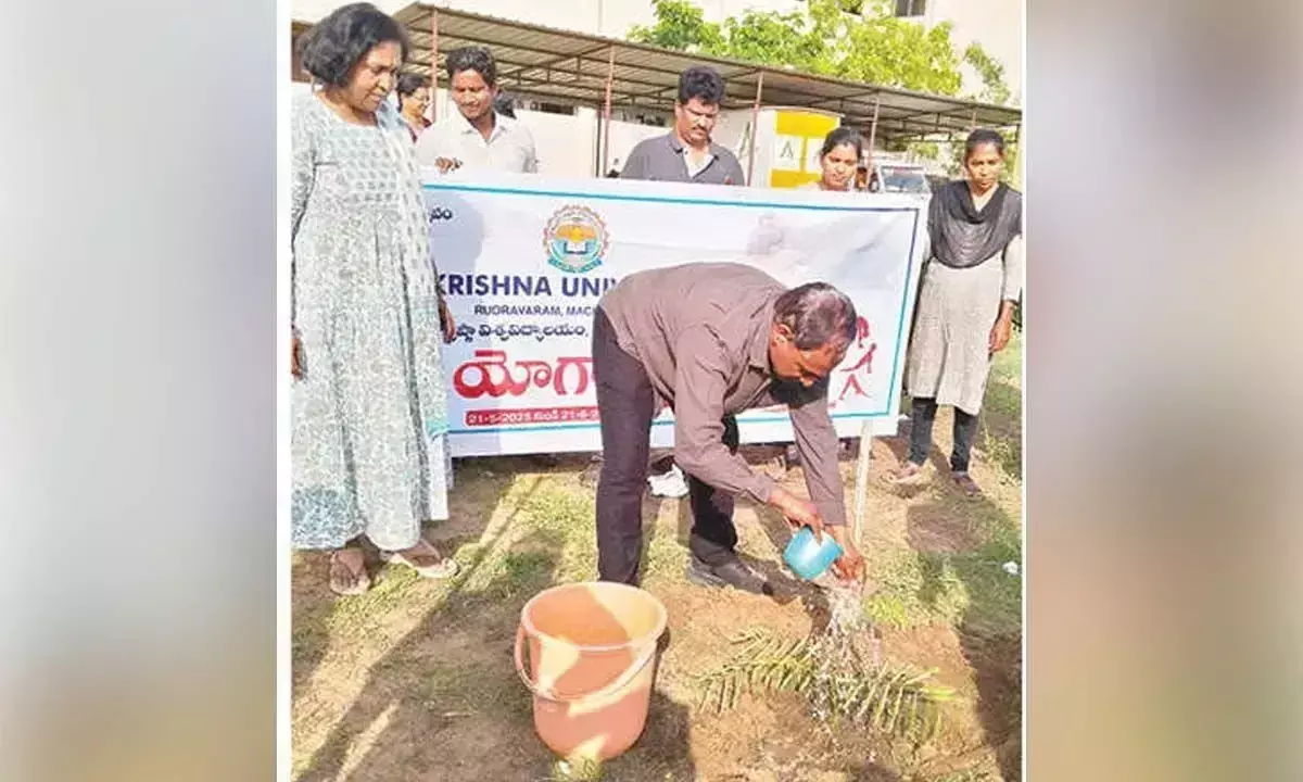 Andhra: केयू रेक्टर का कहना है कि पेड़ों की जिम्मेदारी से देखभाल की जानी चाहिए