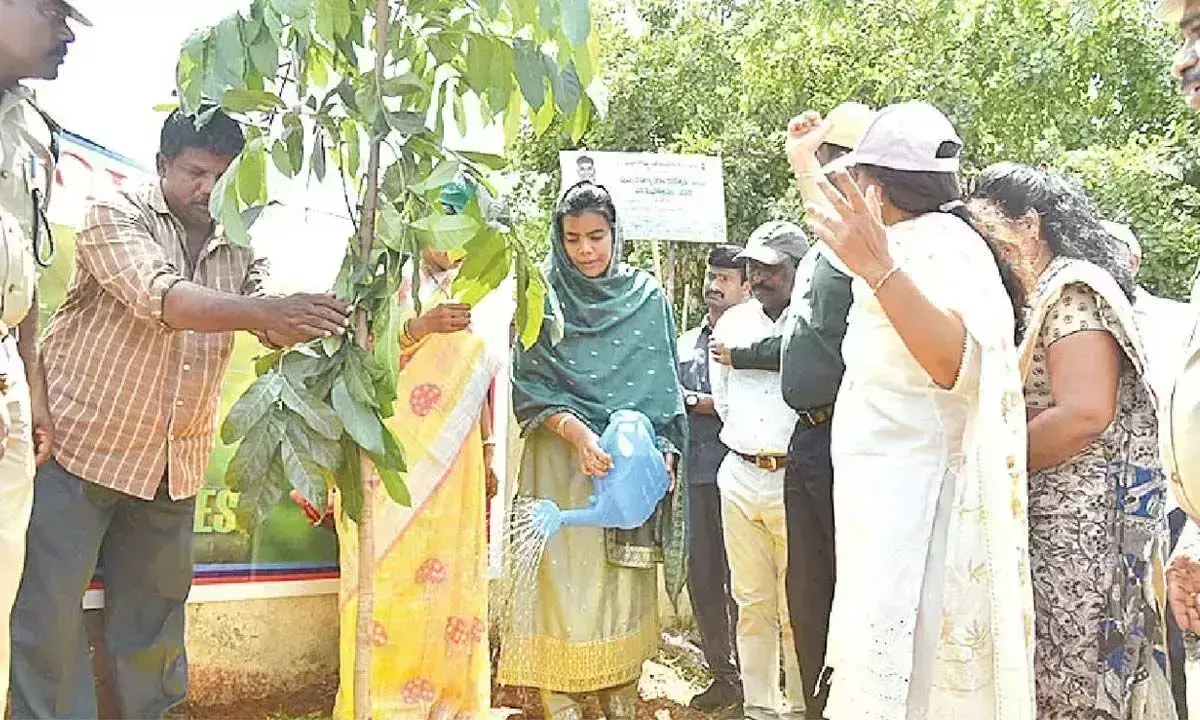 Andhra: प्रकाशम में वन क्षेत्र को 36% से बढ़ाकर 50% करने का कदम