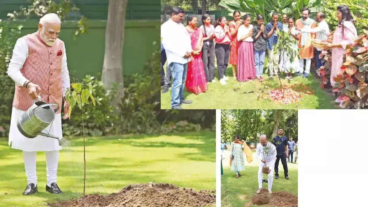 Telangana: प्रधानमंत्री, केंद्रीय मंत्रियों और छात्रों ने पौधे रोपे Telangana: प्रधानमंत्री, केंद्रीय मंत्रियों और छात्रों ने पौधे रोपे