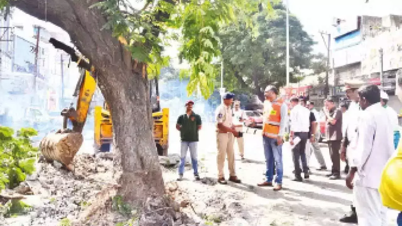 Telangana: हरे कीड़े के काटने से यातायात पुलिस ने भीड़भाड़ कम करने के लिए पेड़ को दूसरी जगह लगाया