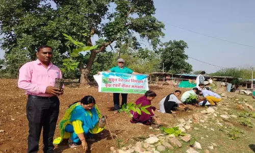शंकरदेव शिशु विद्या निकेतन में मनाया गया विश्व पर्यावरण दिवस