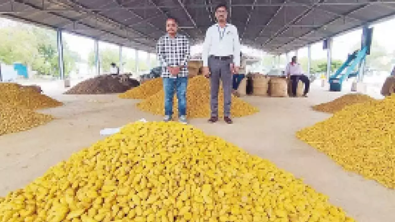 Telangana: अरमूर हल्दी को जीआई टैग दिलाने के लिए विशेषज्ञों ने क्षेत्र-स्तरीय दौरा किया Telangana: अरमूर हल्दी को जीआई टैग दिलाने के लिए विशेषज्ञों ने क्षेत्र-स्तरीय दौरा किया