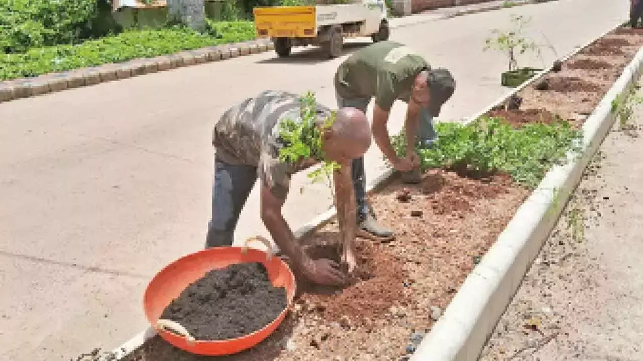 Karnataka: स्वच्छ एवं हरित तट के लिए 4,300 पेड़