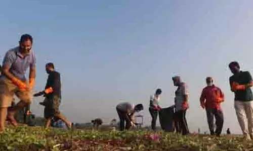 Gujarat: समुद्र तट सफाई अभियान के तहत 18,000 किलोग्राम से अधिक कचरा एकत्र किया