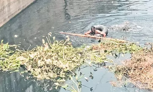 कटक नगर निगम ने कर्मचारियों को बिना सुरक्षा उपकरण के नाले साफ करने के लिए मजबूर किया