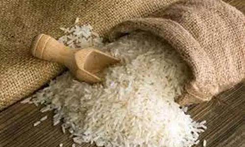 Mizoram में मानसून के लिए पर्याप्त चावल का भंडार