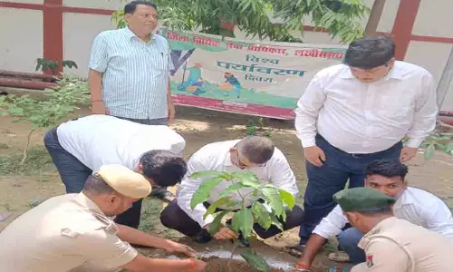कोर्ट कैंपस में जिला एवं सत्र न्यायाधीश ने की पौधारोपण