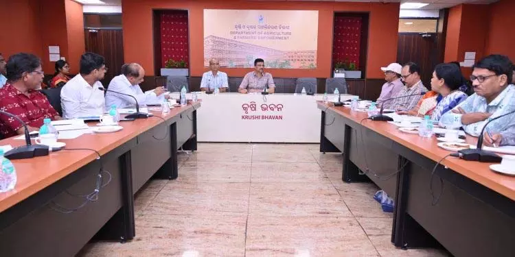 Bhubaneswar: राज्य को बाजरा हब बनाने के प्रयास तेज हों: पाढी Bhubaneswar: राज्य को बाजरा हब बनाने के प्रयास तेज हों: पाढी